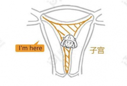 子宫奸漫画,揭秘女性身体与权力的隐秘较量